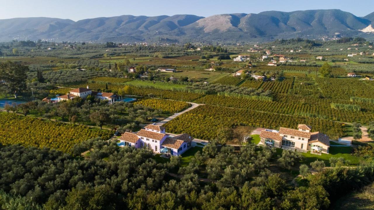 Aneli Luxury Villas - Villa Semeli Áyios Kírikos Екстериор снимка